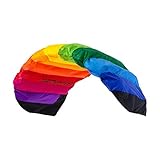 Wolkenstürmer® Paraflex Basic 2-Leiner Lenkmatte 1.2 Rainbow - Kite Drachen...