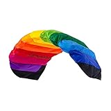 Wolkenstürmer® Paraflex Basic 2-Leiner Lenkmatte 2.1 (Regenbogen) - Rainbow...