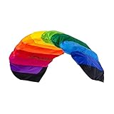 Wolkenstürmer® Paraflex Basic 2-Leiner Lenkmatte 1.2 Rainbow - Kite Drachen...