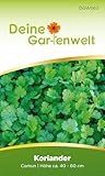 Koriander Comun Samen - Coriandrum sativum - Koriandersamen - Kräutersamen -...