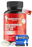 Pinienrindenextrakt - 750mg pro Kapsel - PREMIUM: mit L-Arginin & Vitamin C –...