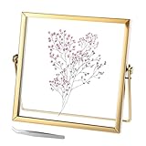 Neyauo Glas Bilderrahmen Gold Glasbilderrahmen, 15x15cm Goldene Dogppelglas...