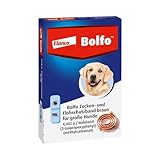 Elanco Bolfo Zecken- und Flohhalsband für große Hunde – Zeckenhalsband...