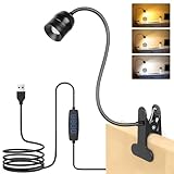 iTayga Dimmbare LED-Klemmlampe mit Zoombarem Fokus - 3 Farbtemperaturen, 10...