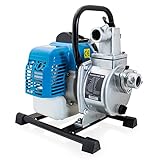 BITUXX® 1,23 PS Benzin Wasserpumpe Motorpumpe Wasser Pumpe Garten...