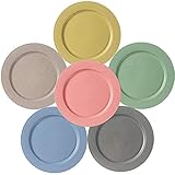 Hobein Teller 6er 25.3cm Ultradünner Plastikteller für RV, Party, Picknick,...