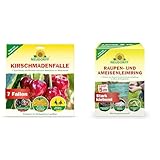 Neudorff KirschmadenFalle – Schützt Kirschen und Walnüsse vor Madenbefall &...