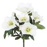 CREATIV green Christrosenbund mit 7 Blüten I 25 cm künstliche Christrose I...
