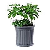 Pflanzkübel Halbrund direkt an der Wand Pflanzkübel Groß Außen Blumenkübel...