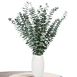 Aufisi Eukalyptus Deko - 22 Stück Getrockneter Eukalyptus (43cm+), Eukalyptus...