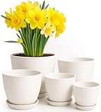 Utopia Home 5er-Pack Blumentopf 18/17/15/13/12 cm Übertopf mit Untertasse Für...