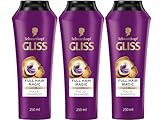 GLISS Full Hair Magic Shampoo (3er Pack (3x 250ml))