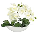 Künstliche Orchidee in Schale 27cm Kunstblume Blume Kunstorchidee Phalaenopsis...