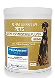 Grünlippmuschel Hund TESTSIEGER - 500g natürliches Grünlippmuschelpulver für...