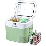 BINGI Kompressor Kühlbox 22L Tragbarer Auto-Kühlschrank 12/24V DC und 230V AC...