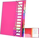 Delamiya Dokumentenmappe A4, Tragbar Fächermappe mit 12 Fächern, PP Kunststoff...