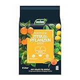 Westland Zitruspflanzen Erde, 8 l – Erde mit Tongranulat für gesunde...