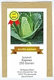 Spitzkohl Express - Frühe Sorte - Weißkohl - samenfeste Sorte - 250 Samen