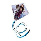 Günther Flugspiele 1155 - Einleiner-Drachen Disney Frozen, ca. 70 x 70 cm,...