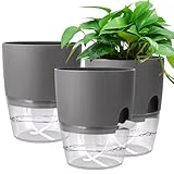 Euakee 3 Stück Selbstbewässerungstopf, 15 cm Fensterbank Kräutertopf Küche...