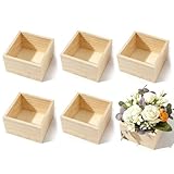 QYRDBGY 6 Stück Holzkiste Klein, Naturholz Quadratische Holzkisten Unbehandelte...
