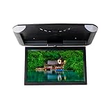 10,1 Zoll Auto TFT LCD LED Dachmontage Flip Down Deckendisplay 2 AV-Eingänge...