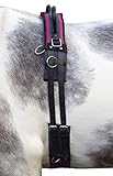 HKM 12701 Longiergurt Canvas, Fester Doppelgriff Longierbedarf Navy/Passion Pink...