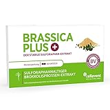 Brassica PLUS – Brokkolisprossen-Extrakt Kapseln – 10 mg stabilisiertes...