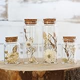 Comforder Trockenblumen im Glas mit Korken 4er Set, getrocknete Blumen-Deko in...