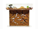 ANTHILLSHOP - Ameisenfarm T- Großer Natürlicher Sand (Acryl) 25x20x1,5cm -...