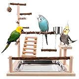 Wellensittich Spielplatz, Vogelspielplatz aus Holz, Papageien-Spielständer mit...