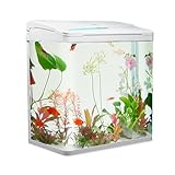 VIALIA Aquarium Komplettset mit LED-Beleuchtung, Pumpe und Filter, 38x24x43 cm,...
