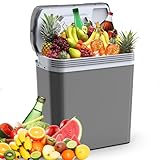 24 Liter Kühlbox, 2 in1 elektrische Kühlbox 12V 230V Kühlen und Wärmen Mini...