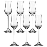 LEONARDO HOME Daily, robuste Schnaps Grappa geeignet, Gläser-Set mit 100-ml...