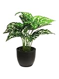 mucplants künstliche Aglaonema im Topf Kolbenfaden Caladium Monstera Calathea...
