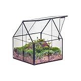 NCYP 10,8x10,8x12,5 cm Geometrisches Mini Pflanzenterrarium aus Glas mit Deckel,...