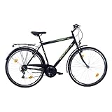 Sprint Harmony 28 Zoll Citybike 18 Gänge