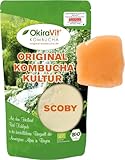 Original-Kombucha-Teepilz (Schnittstück) Premium Qualität + Bio Kombucha...