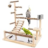 Honicemar Vogel Spielständer – Holz Papageienständer, Vogel Spielplatz mit...