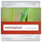nemaplus® | SF Nematoden gegen Trauermücken | 1 Mio. für 10 Pflanzen / 2 m²...