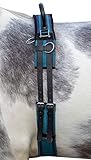 HKM 12701 Longiergurt Canvas, Fester Doppelgriff Longierbedarf Navy/Sky Blue MS,...
