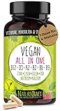 Vegan All-in-One - Vitamin B12+D3+K2+B2+B6+B9 Folsäure + Zink + Eisen + Selen +...