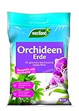 Westland Orchideen Erde, 8 l – Blumenerde für gesundes Wachstum, Pinienrinde...