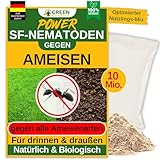 GREEN GUARDIA Super SF-Nematoden gegen Ameisen – 10 Mio. für 20m² -...
