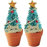 Lipfer 2 Pcs 1:12 Dollhouse Mini Weihnachtsbaumtopf Pflanze Miniaturzubehör...