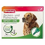 BEAPHAR - Zecken- Und Flohschutz SPOT-ON Für Hunde Über 15kg - Repellent Gegen...