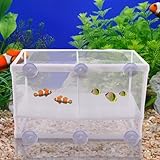 Aufzuchtbecken Aquarium mit Isolation Netz und Saugnäpfe -...