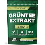 Grüntee Extrakt 12480 mg pro Tagesdosis | 120 Pulver Kapseln | Hochdosiert...