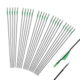 iMeshbean Fieberglaspfeile Pfeile für bogenschießen, 25 Stück Bogenpfeile...