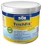 Söll 81792 TeichFit 500 g - Grundpflegemittel, Teich Wasseraufbereiter,...